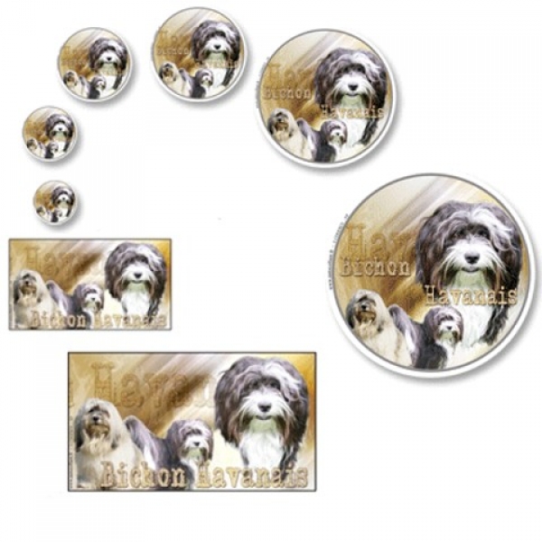 Aufkleber Havaneer / Bichon Havanaiss