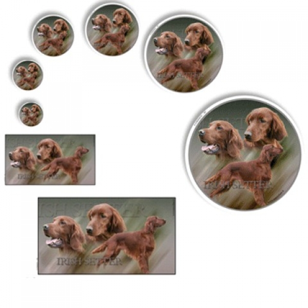 Aufkleber Irish Red Setter 2