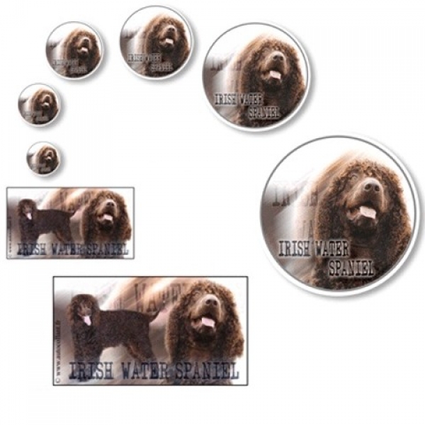 Aufkleber Irish Water Spaniel / Irischer Wasserspaniel