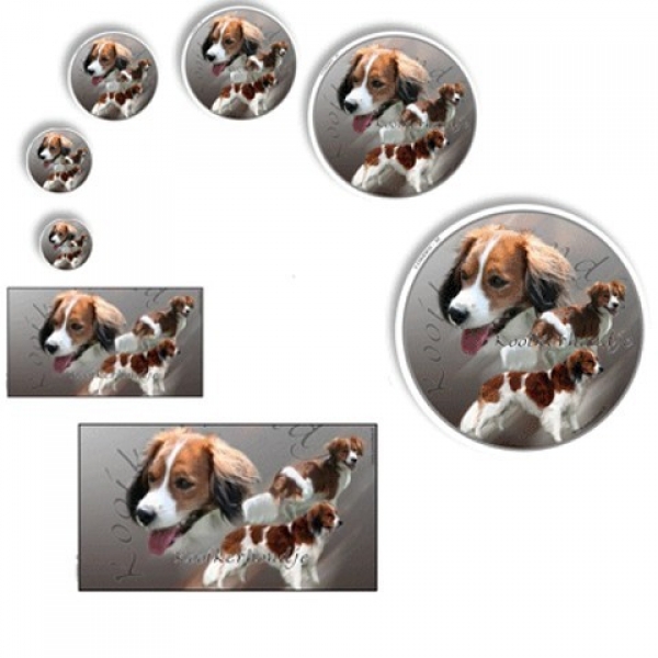 Aufkleber Kooikerhondje