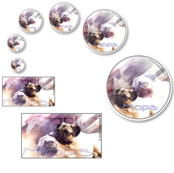 Aufkleber Mops Pug 1