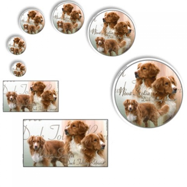 Aufkleber Nova Scotia Duck Tolling Retriever 2