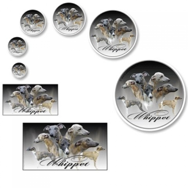 Aufkleber Whippet / Kleiner Englischer Windhund