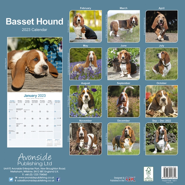 Kalender 2023 Basset Hound Hund