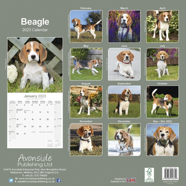 Kalender 2023 Beagel