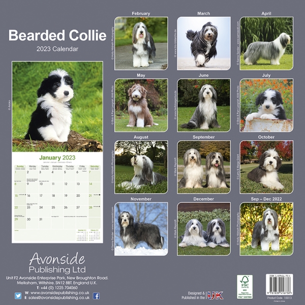 Kalender 2023 Bearded Collie