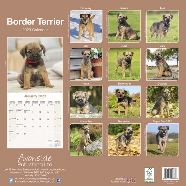 Kalender 2023 Border Terrier