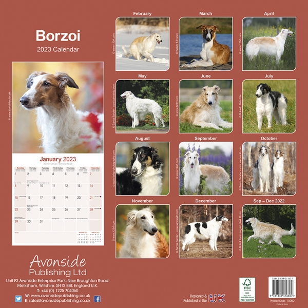 Kalender 2023 Borzoi Barsoi Russischer Windhund