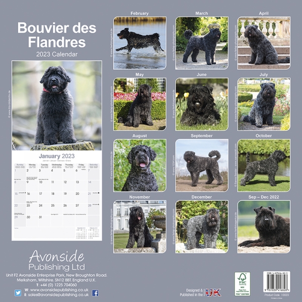 Kalender 2023 Bouvier des Flandres