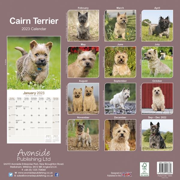 Kalender 2023 Cairn Terrier