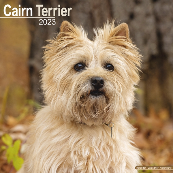 Kalender 2023 Cairn Terrier