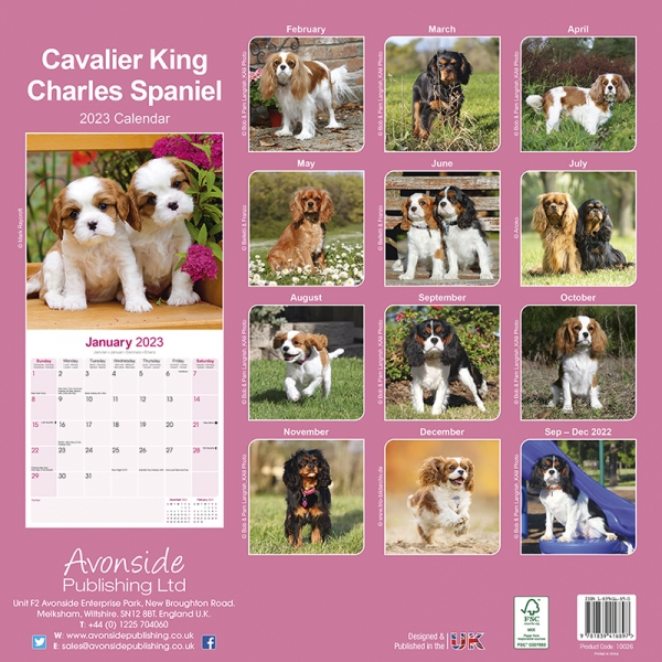 Kalender 2023 Cavalier King Charles Spaniel