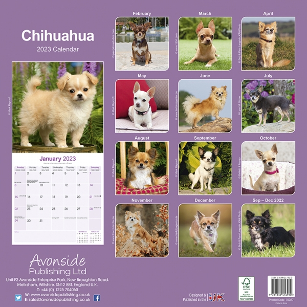 Kalender 2023 Chihuahua