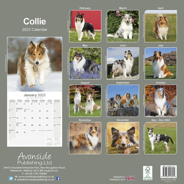 Kalender 2023 Collie Colly Colley