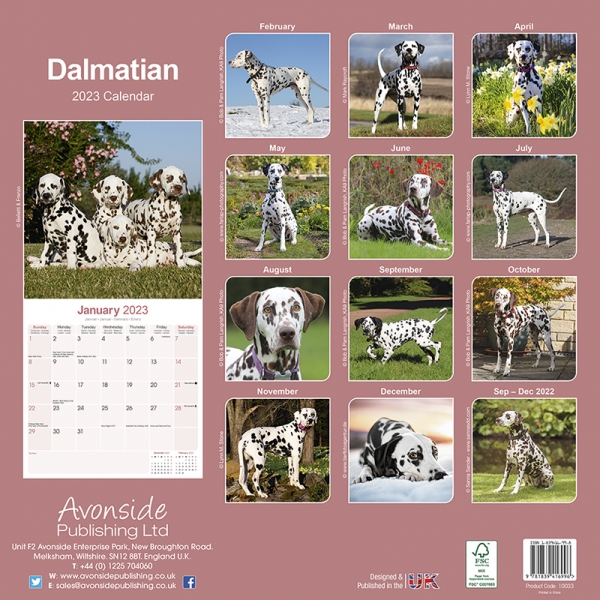 Kalender 2023 Dalmatiner