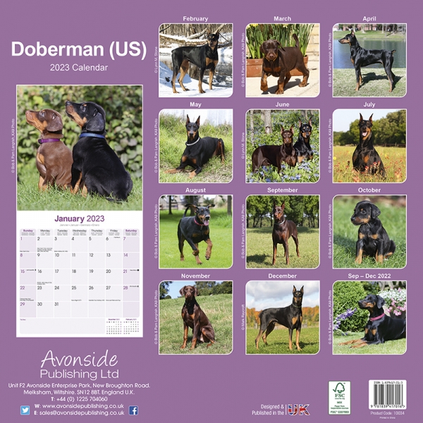 Kalender 2023 Doberman Kupiert (US)