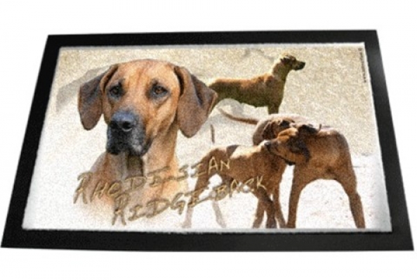 Designer Fussmatte Rhodesian Ridgeback 1