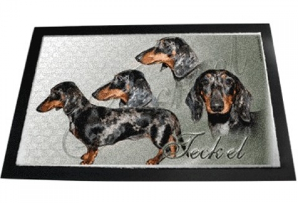 Designer Fussmatte Kurzhaar Zwerg Teckel Dackel Dachshund