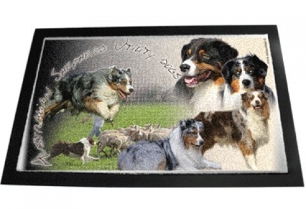 Designer Fussmatte Australian Shepherd Dog 3