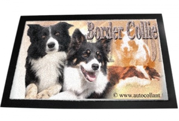 Designer Fussmatte Border Collie 1