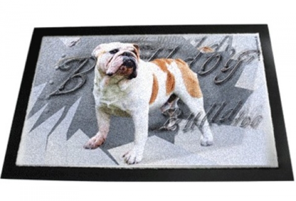 Designer Fussmatte Englische Bulldogge 2