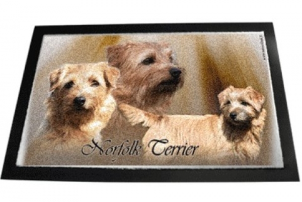 Designer Fussmatte Norfolk Terrier 1