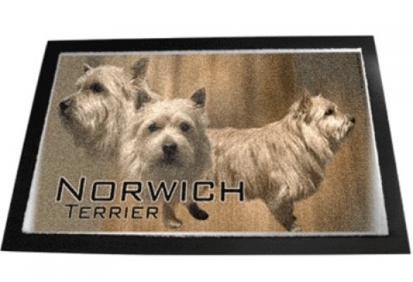 Designer Fussmatte Norwich Terrier