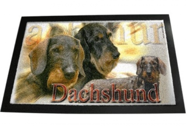 Designer Fussmatte Rauhhaar Dackel Dachshund Teckel