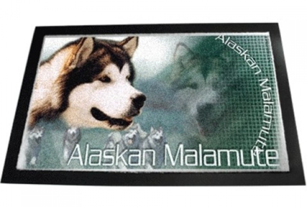 Designer Fussmatte Alaskan Malamute 2