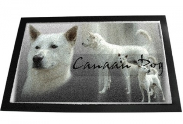 Designer Fussmatte Canaan Dog / Kanaanhund