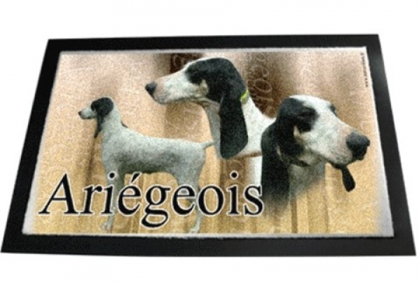 Designer Fussmatte Ariegeois