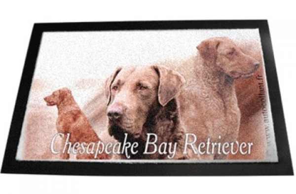 Designer Fussmatte Chesapeake Bay Retriever