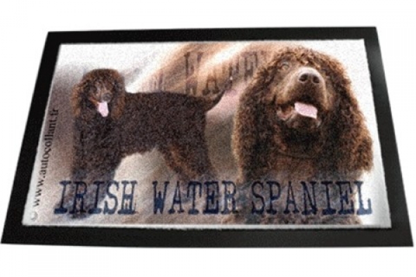 Designer Fussmatte Irish Water Spaniel / Irischer Wasserspaniel