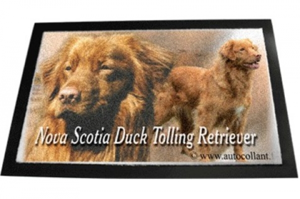 Designer Fussmatte Nova Scotia Duck Tolling Retriever 1