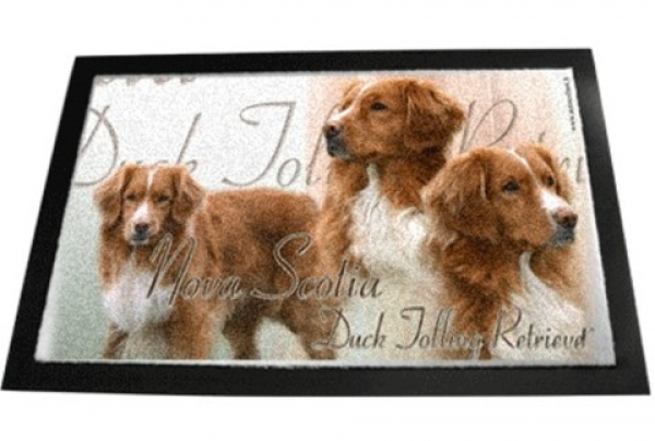 Designer Fussmatte Nova Scotia Duck Tolling Retriever 2