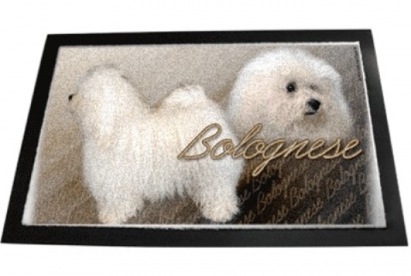 Designer Fussmatte Bichon Bolognese / Bologneser