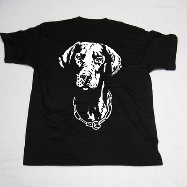 Dobermann Motiv 3.1
