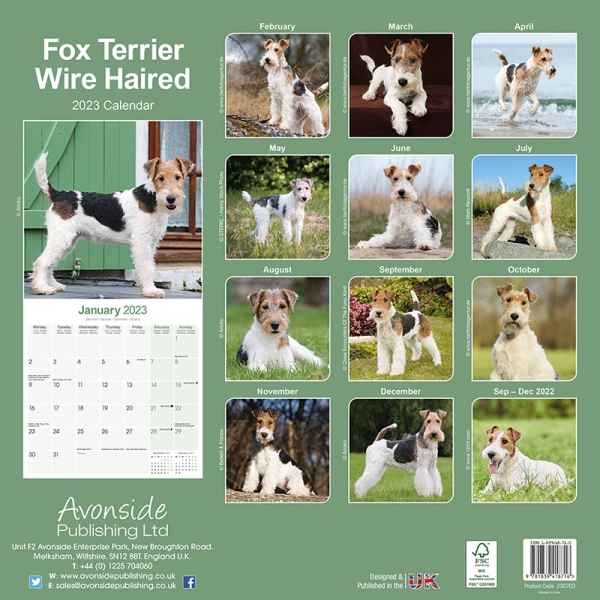 Kalender 2023 Fox Terrier