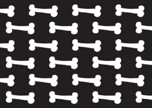 Futternapfunterlage Bones