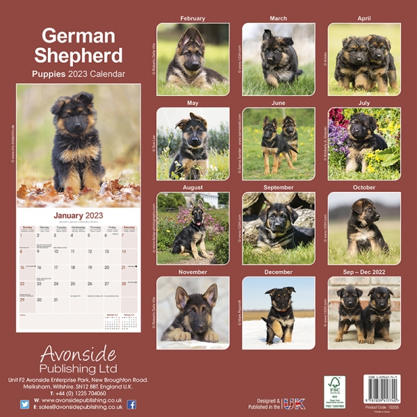 Kalender 2023 Deutscher Schäferhund Welpen