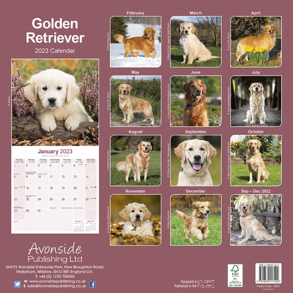 Kalender 2023 Golden Retriever