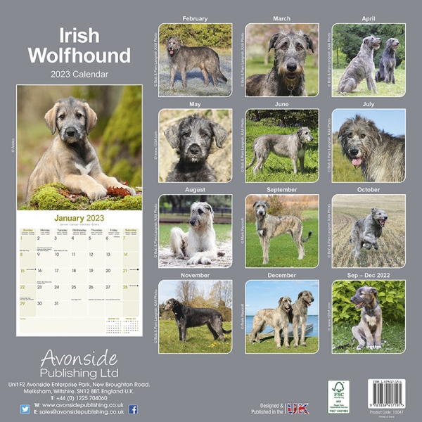 Kalender 2023 Irish Wolfhound Irischer Wolfshund