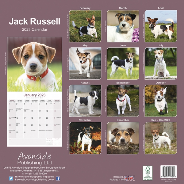 Kalender 2023 Jack Russell Terrier