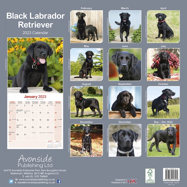 Kalender 2023 Labrador Retriever schwarz