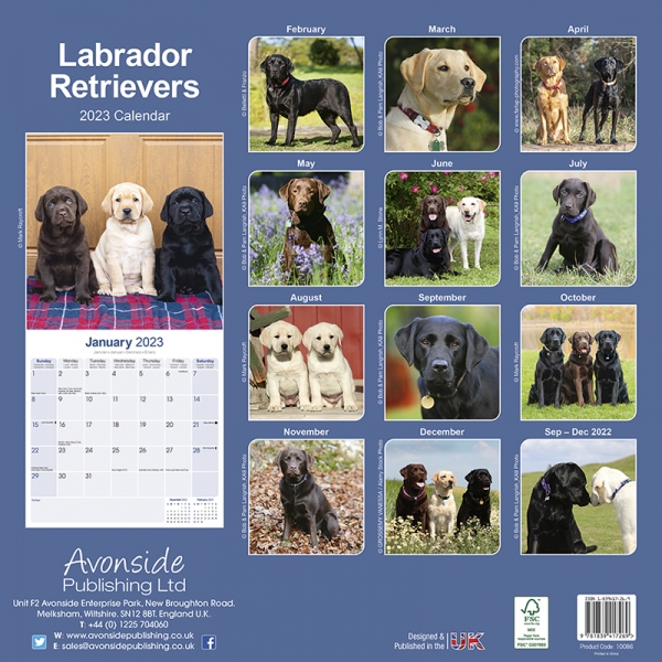 Kalender 2023 Labrador (Mix)