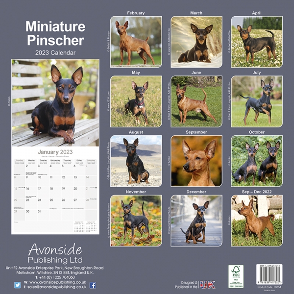 Kalender 2023 Rehpinscher Zwergpinscher