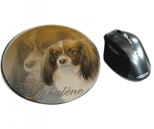 Mousepad Phalene / Kontinentaler Zwergspaniel
