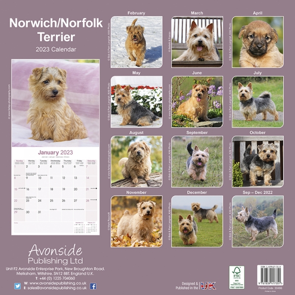 Kalender 2023 Norfolk Terrier