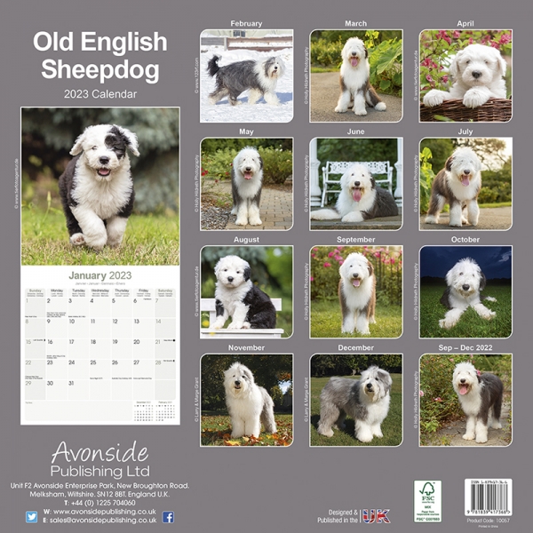 Kalender 2023 Bobtail Old English Sheepdog