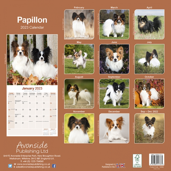 Kalender 2023 Papillon Hund